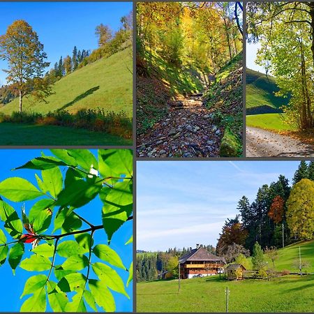Emmental Ferien Apartment ลองโน ภายนอก รูปภาพ