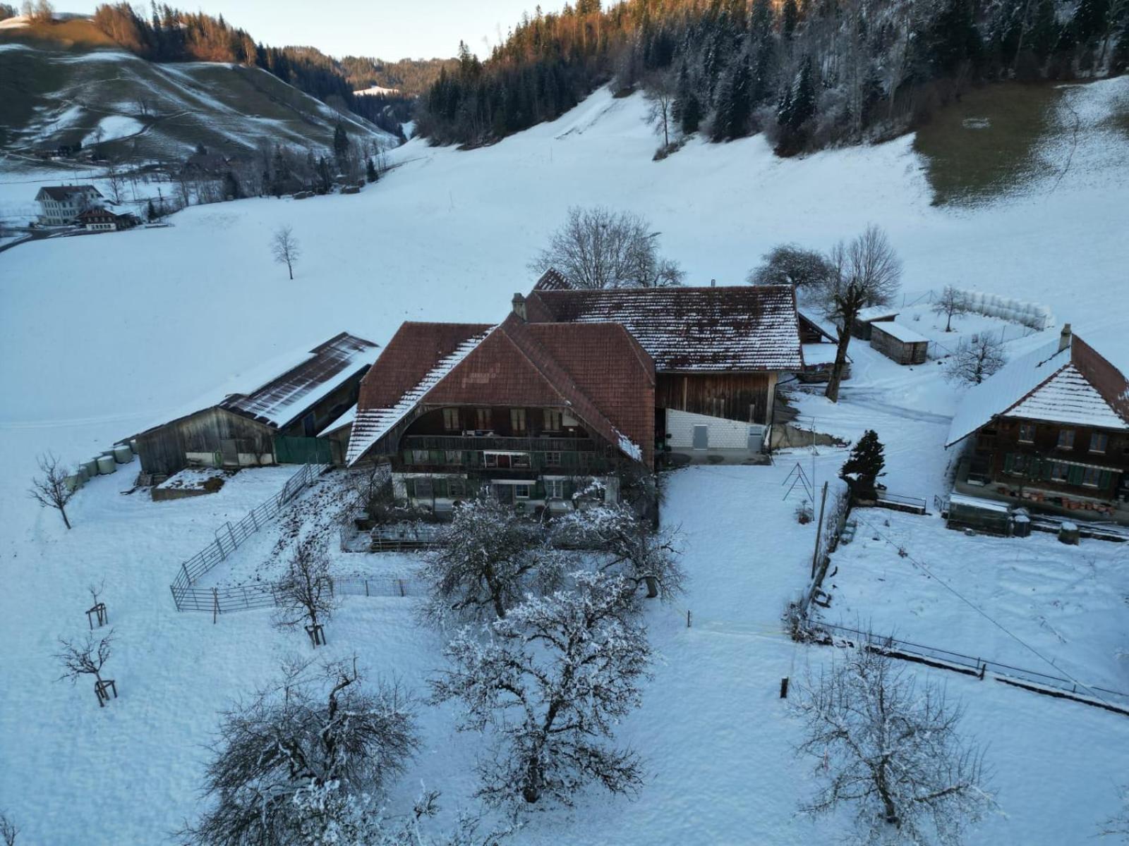 Emmental Ferien Apartment ลองโน ภายนอก รูปภาพ