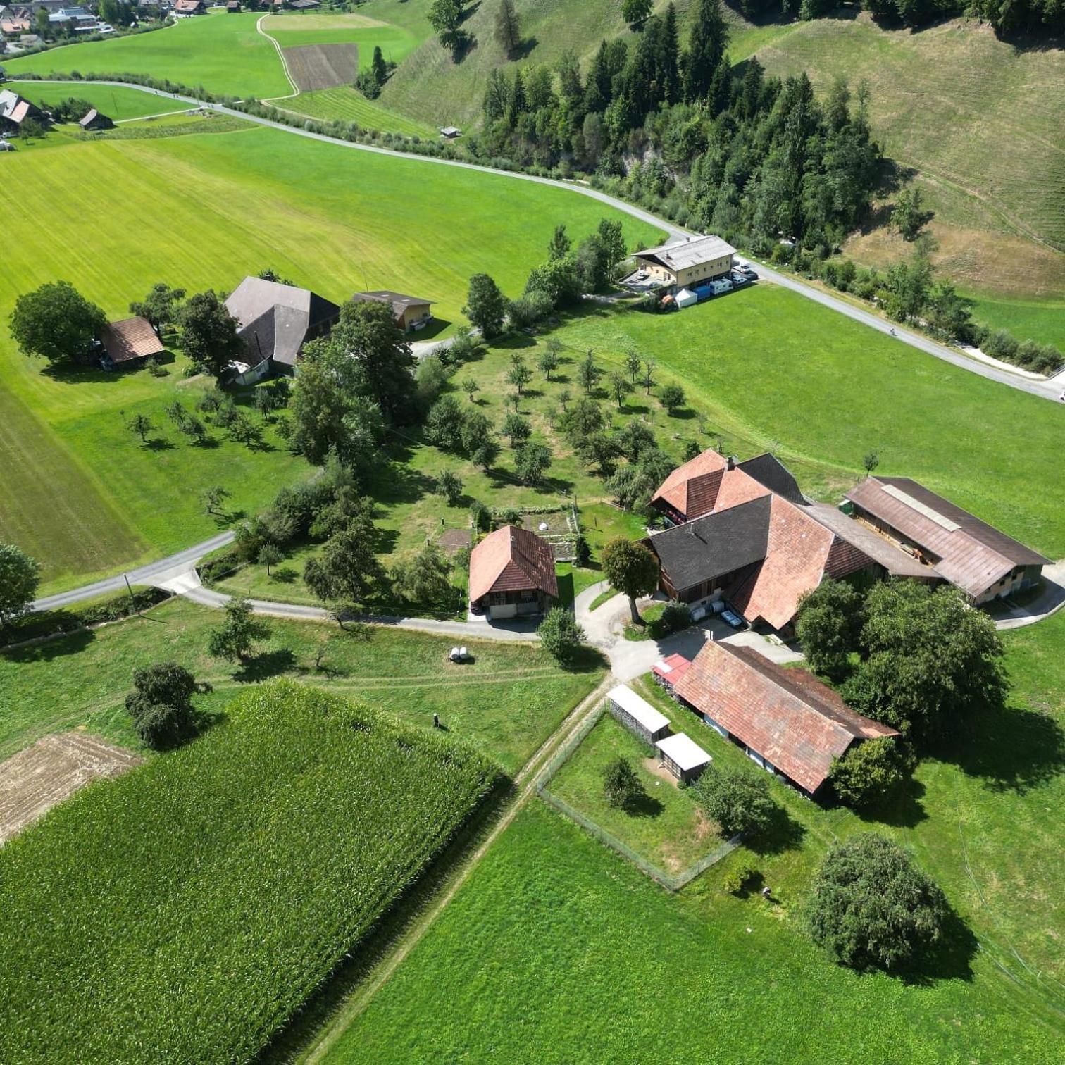 Emmental Ferien Apartment ลองโน ภายนอก รูปภาพ