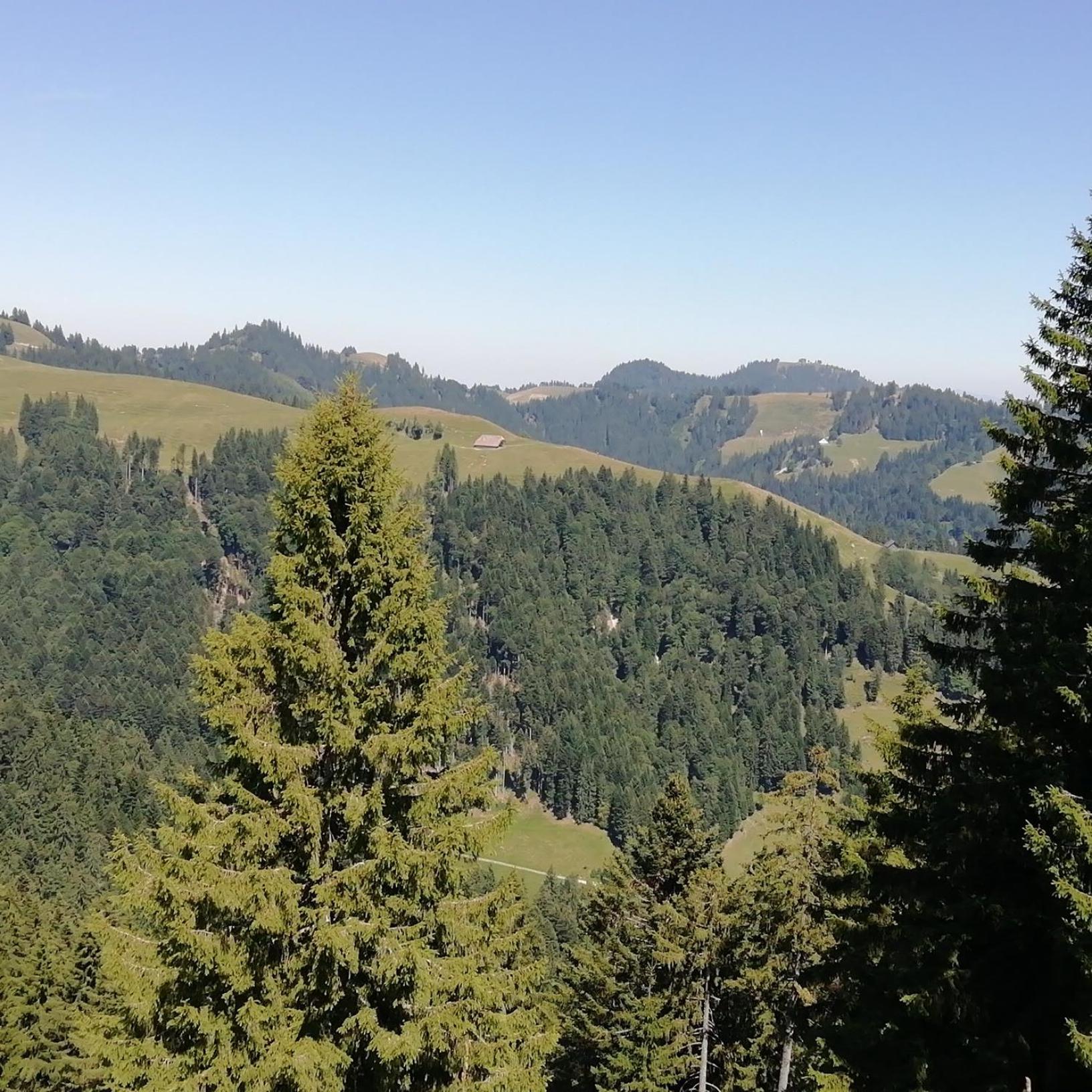Emmental Ferien Apartment ลองโน ภายนอก รูปภาพ