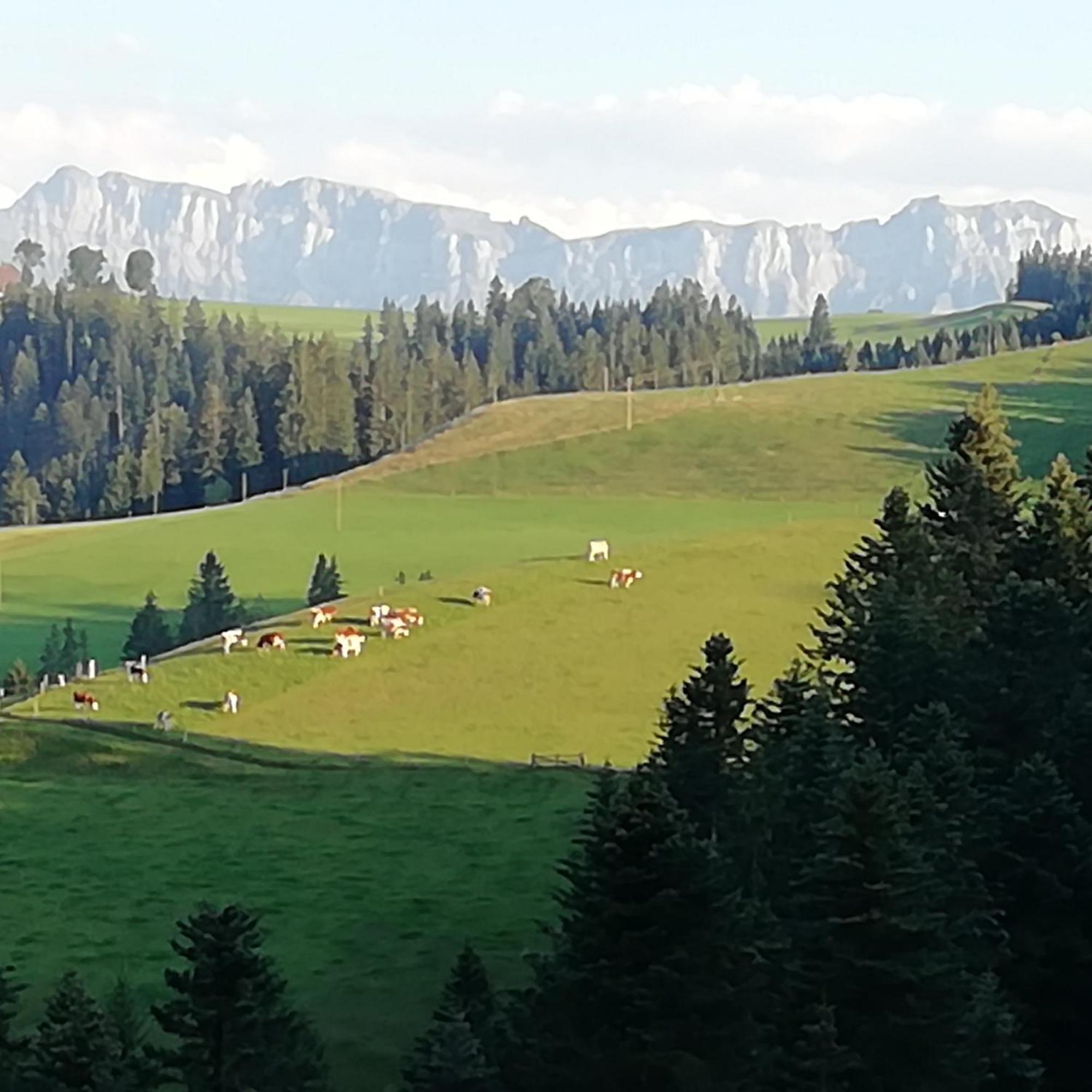 Emmental Ferien Apartment ลองโน ภายนอก รูปภาพ