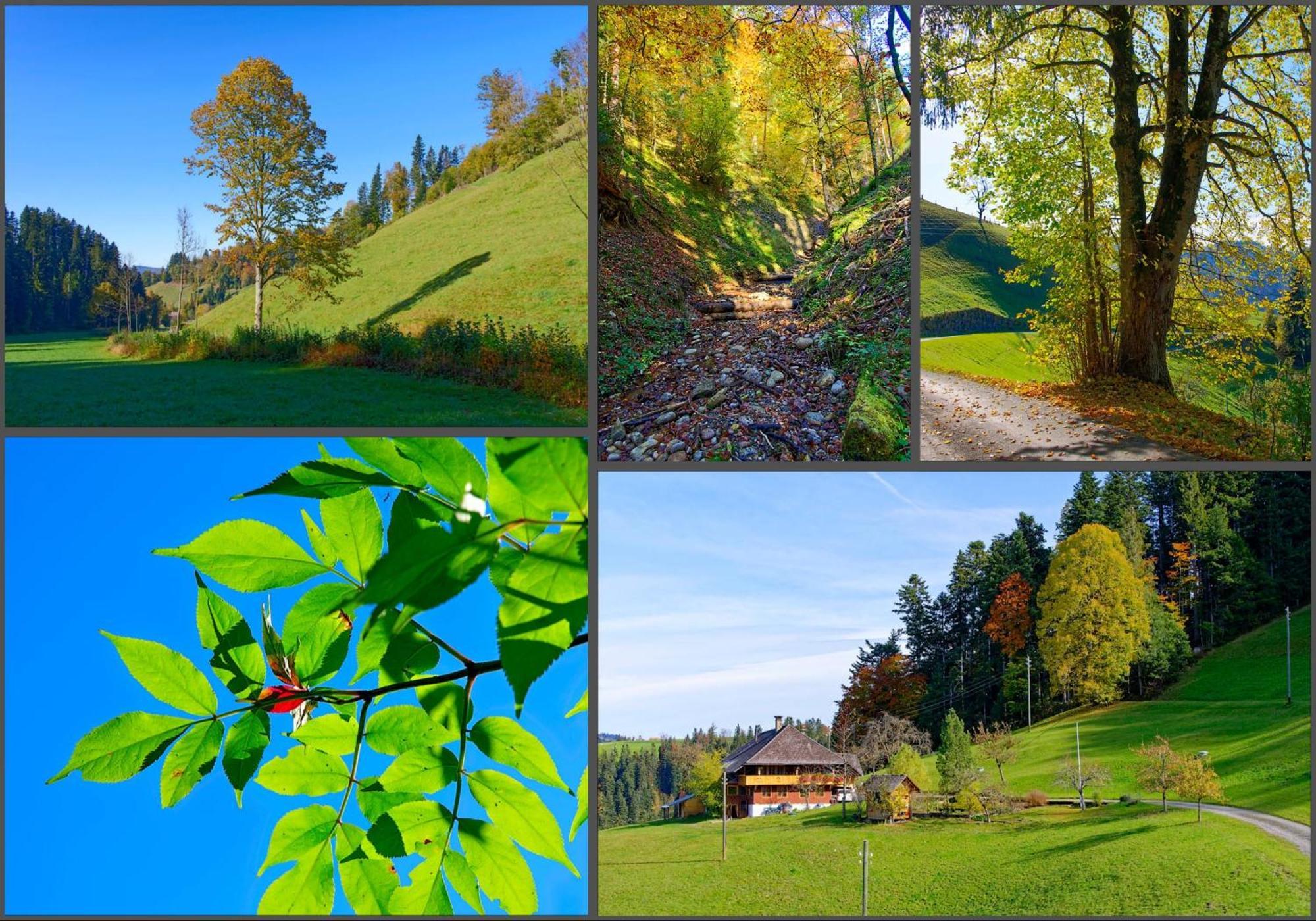 Emmental Ferien Apartment ลองโน ภายนอก รูปภาพ