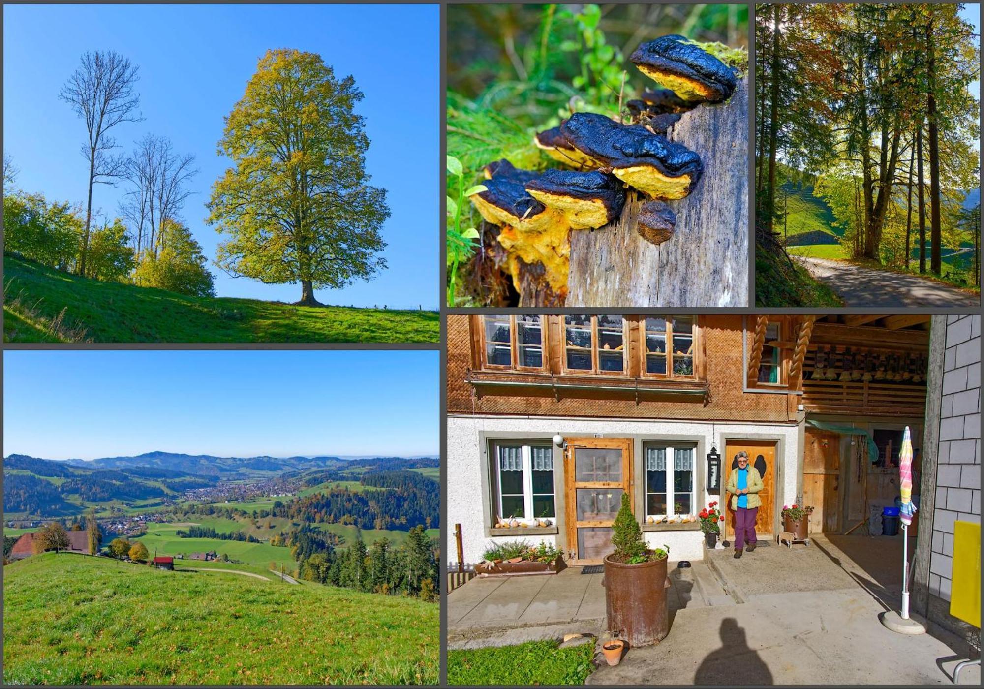 Emmental Ferien Apartment ลองโน ภายนอก รูปภาพ