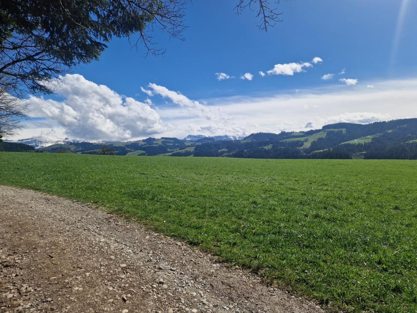 Emmental Ferien Apartment ลองโน ภายนอก รูปภาพ